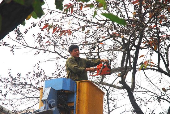 Cần sự đồng thuận cao để xây dựng Thủ đô ảnh 1